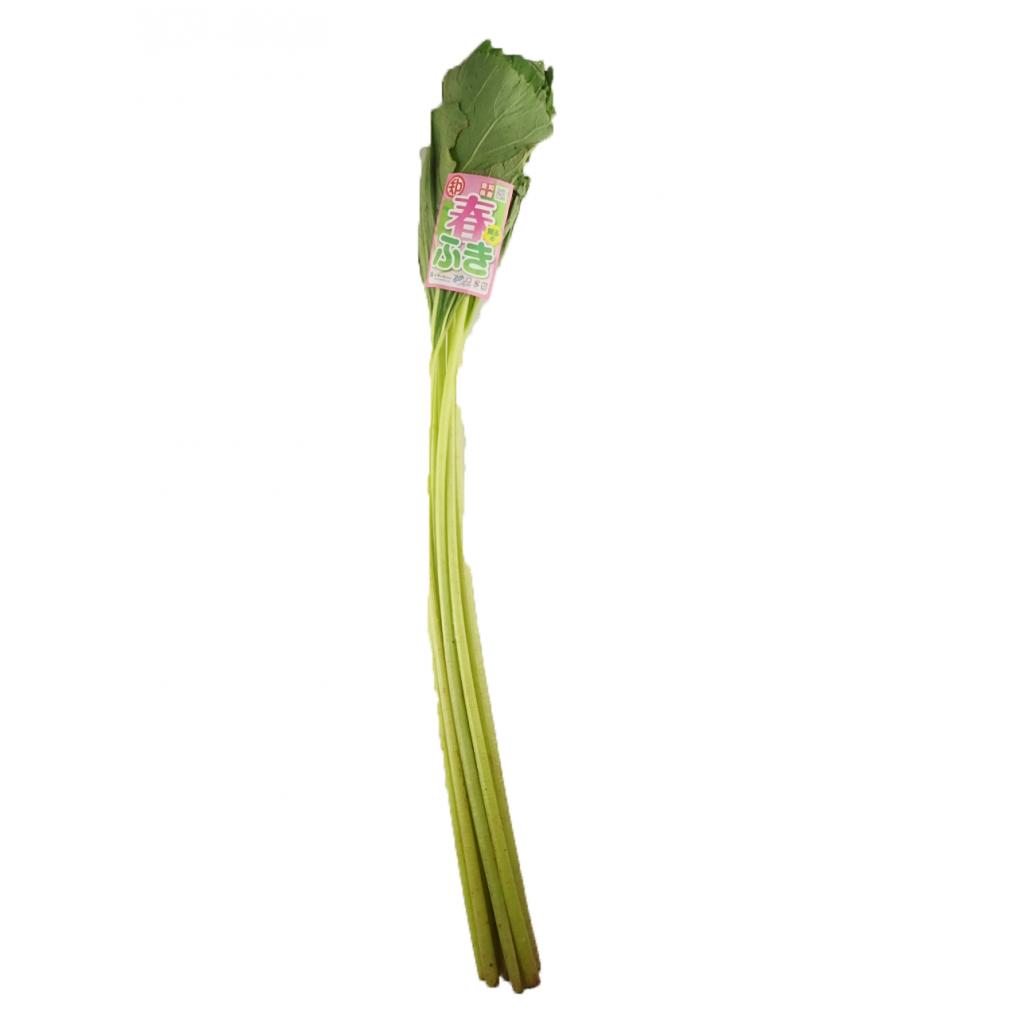 生ふき