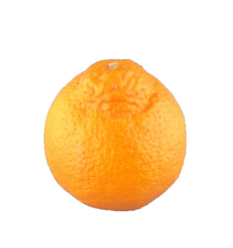 不知火オレンジ