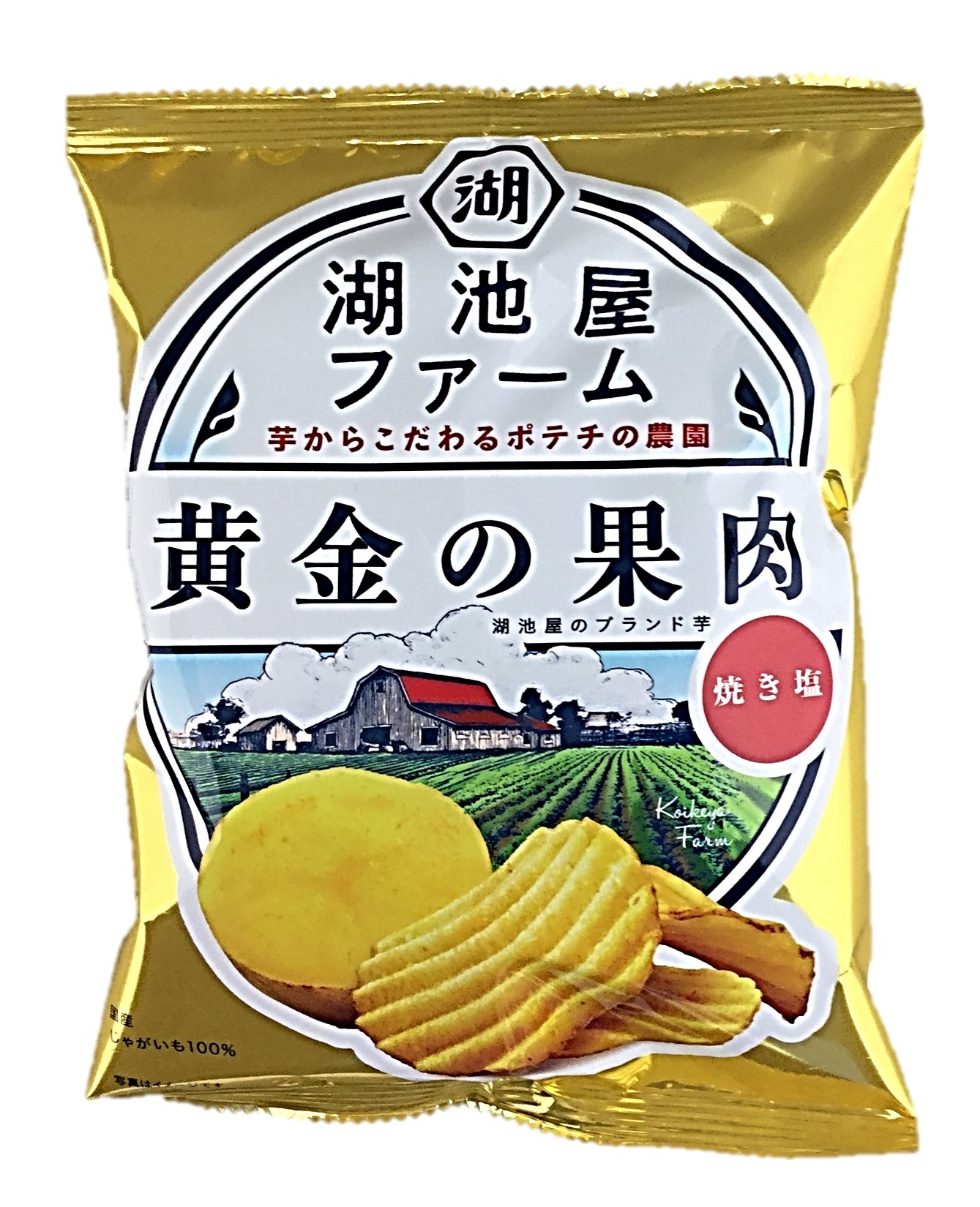 ファーム 黄金の果肉焼き塩55g 湖池屋