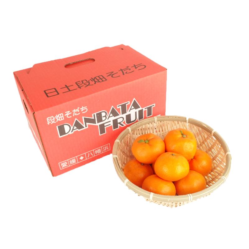 日土段畑そだち小箱