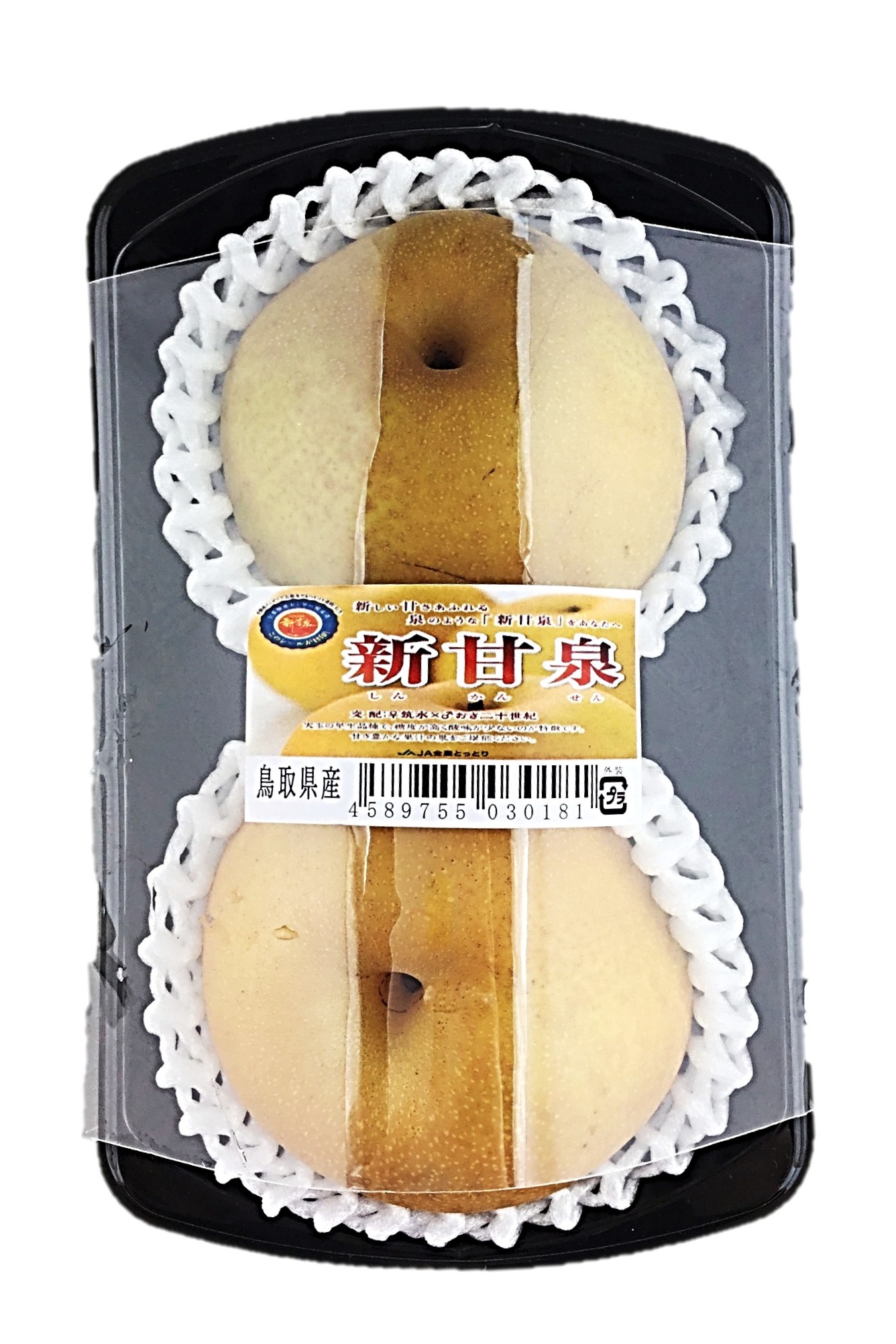 新甘泉