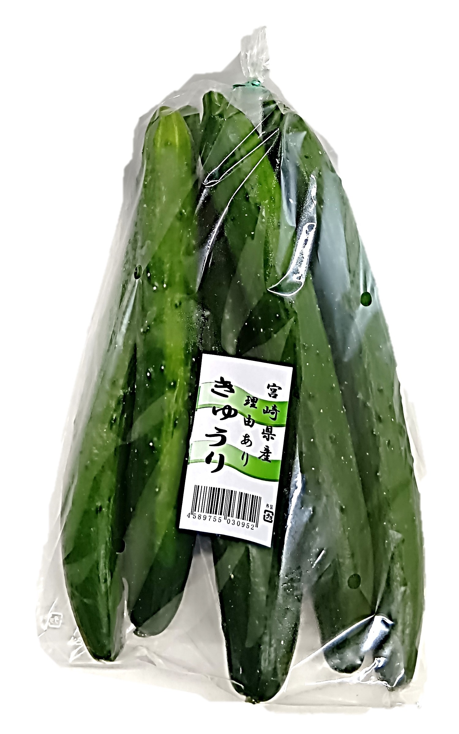 理由ありきゅうり