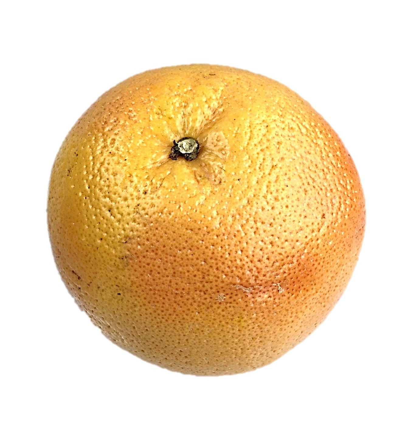 オーストラリア産グレープルルーツ(赤)