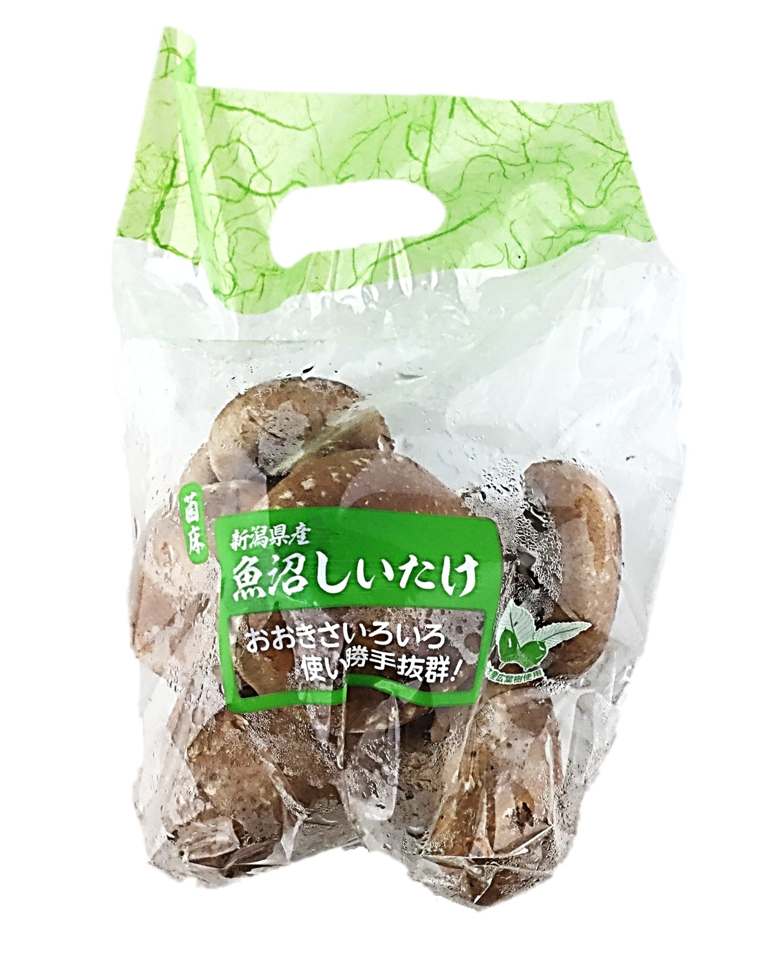 新潟県産魚沼しいたけ