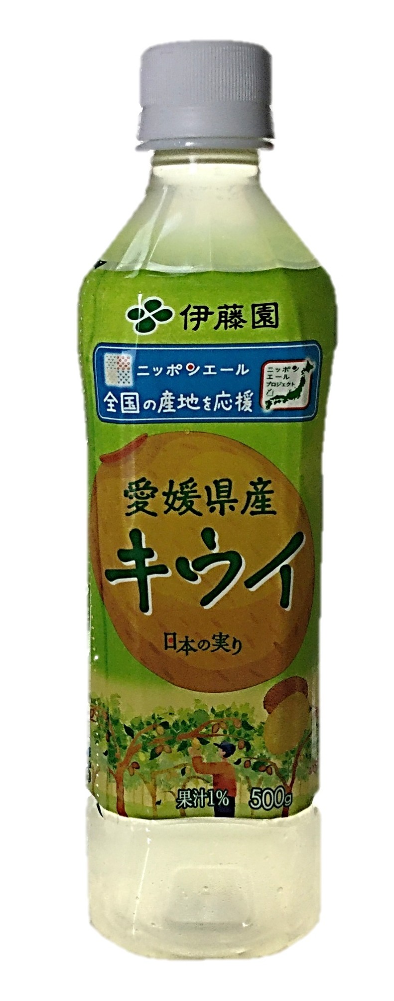 ニッポンエール愛媛県産キウイ500ml