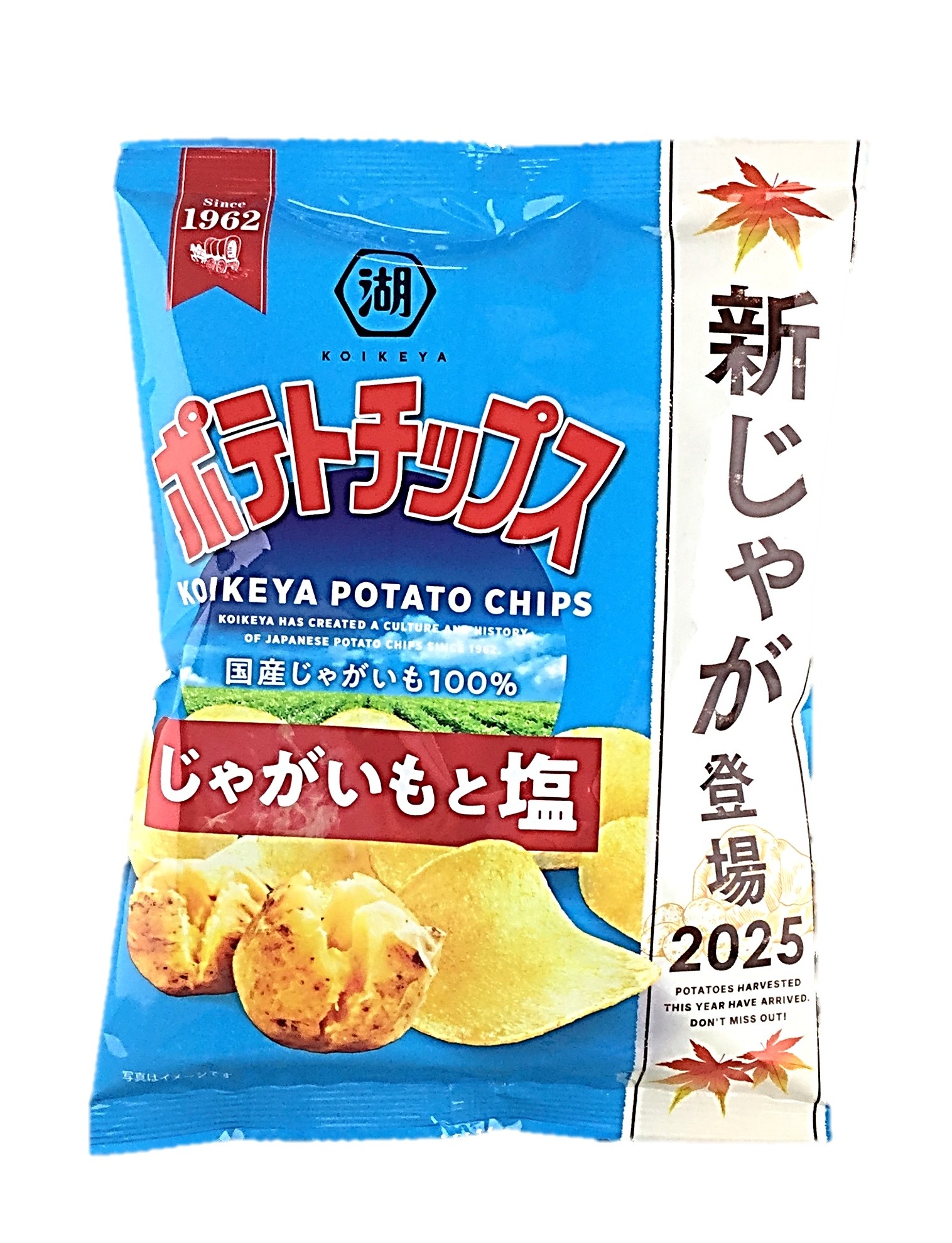 ポテトチップスじゃがいもと塩55g 湖池
