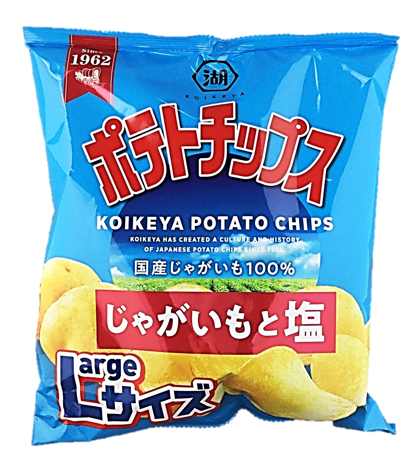 Lサイズポテトチップスじゃがいもと塩12