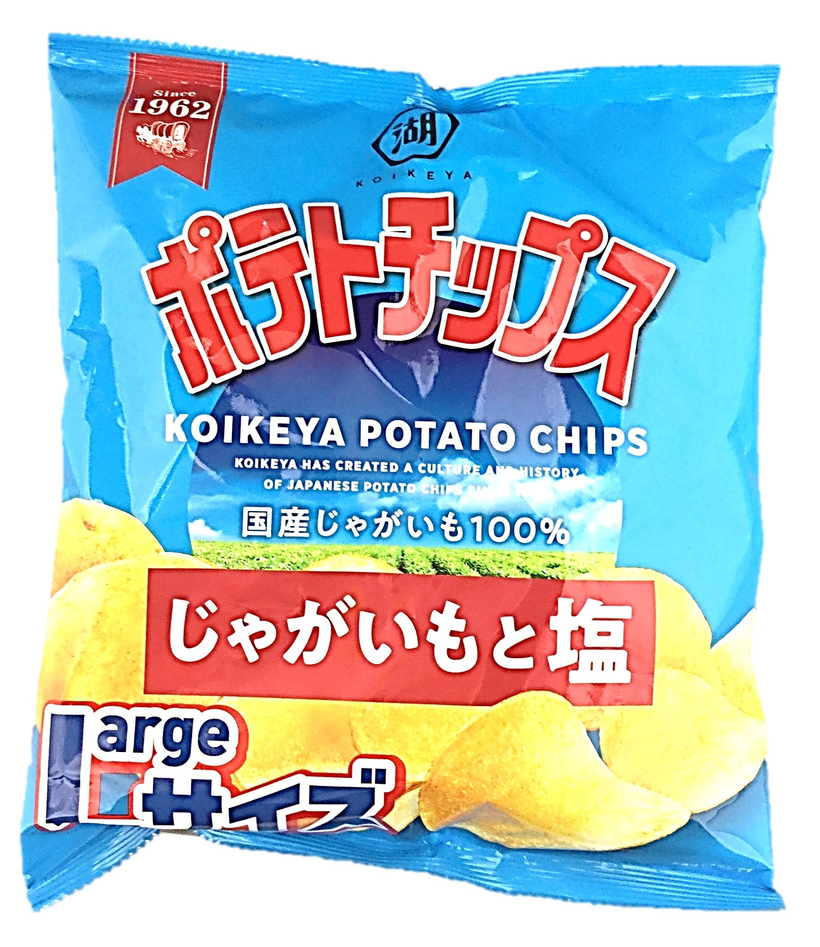 Lサイズポテトチップスじゃがいもと塩10