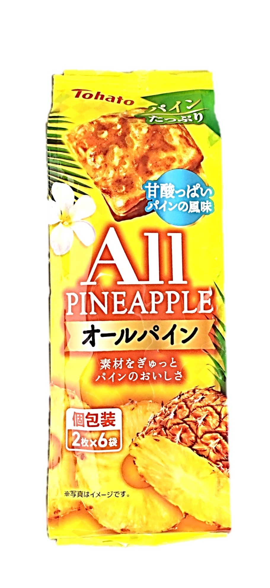 オールパイン12枚 東ハト