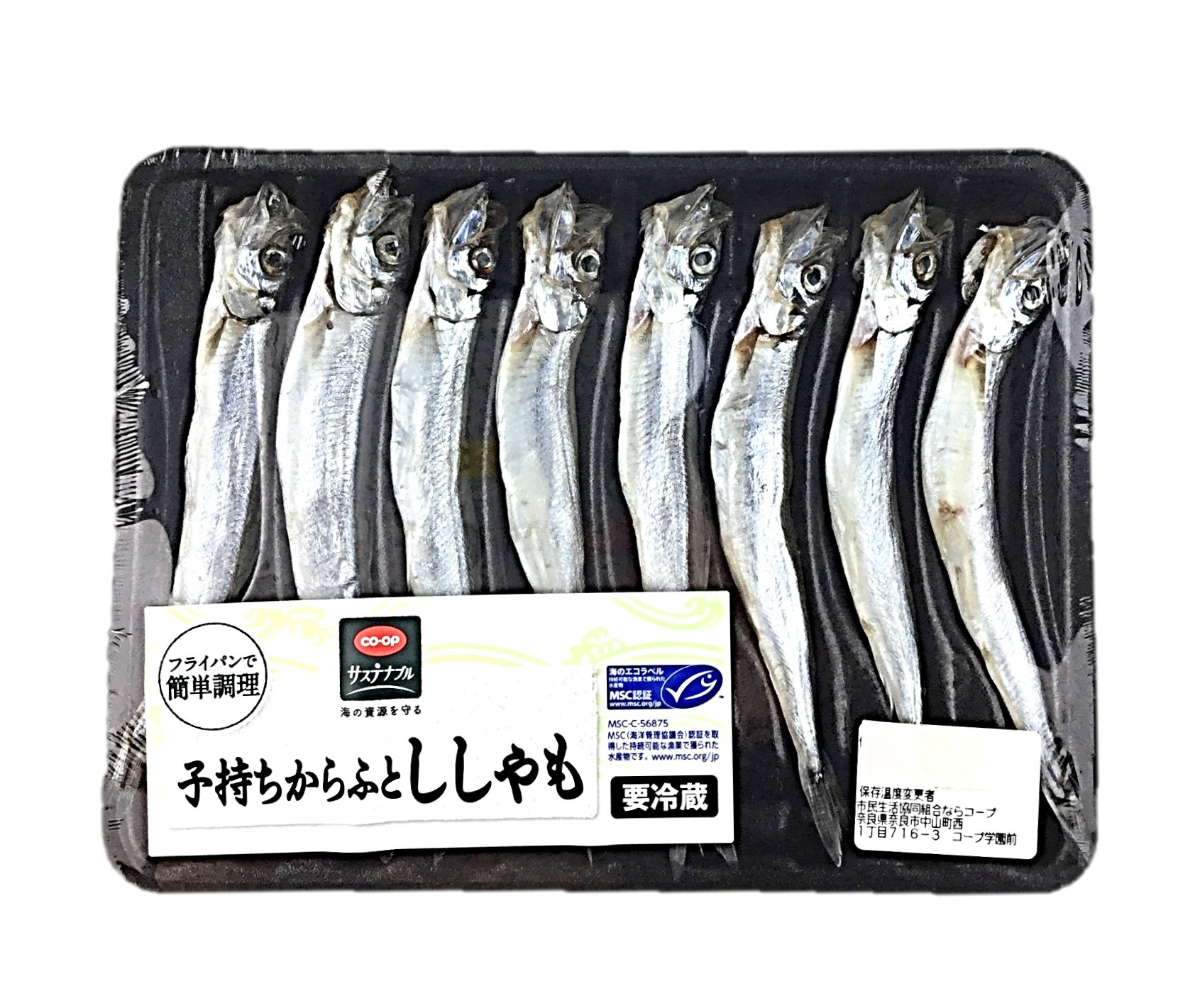 子持ちからふとししゃも8尾