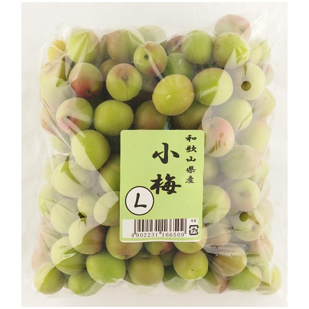 小梅 Lサイズ