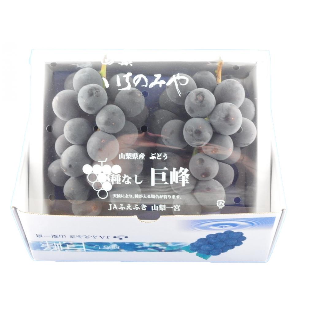 種なし巨峰 化粧箱