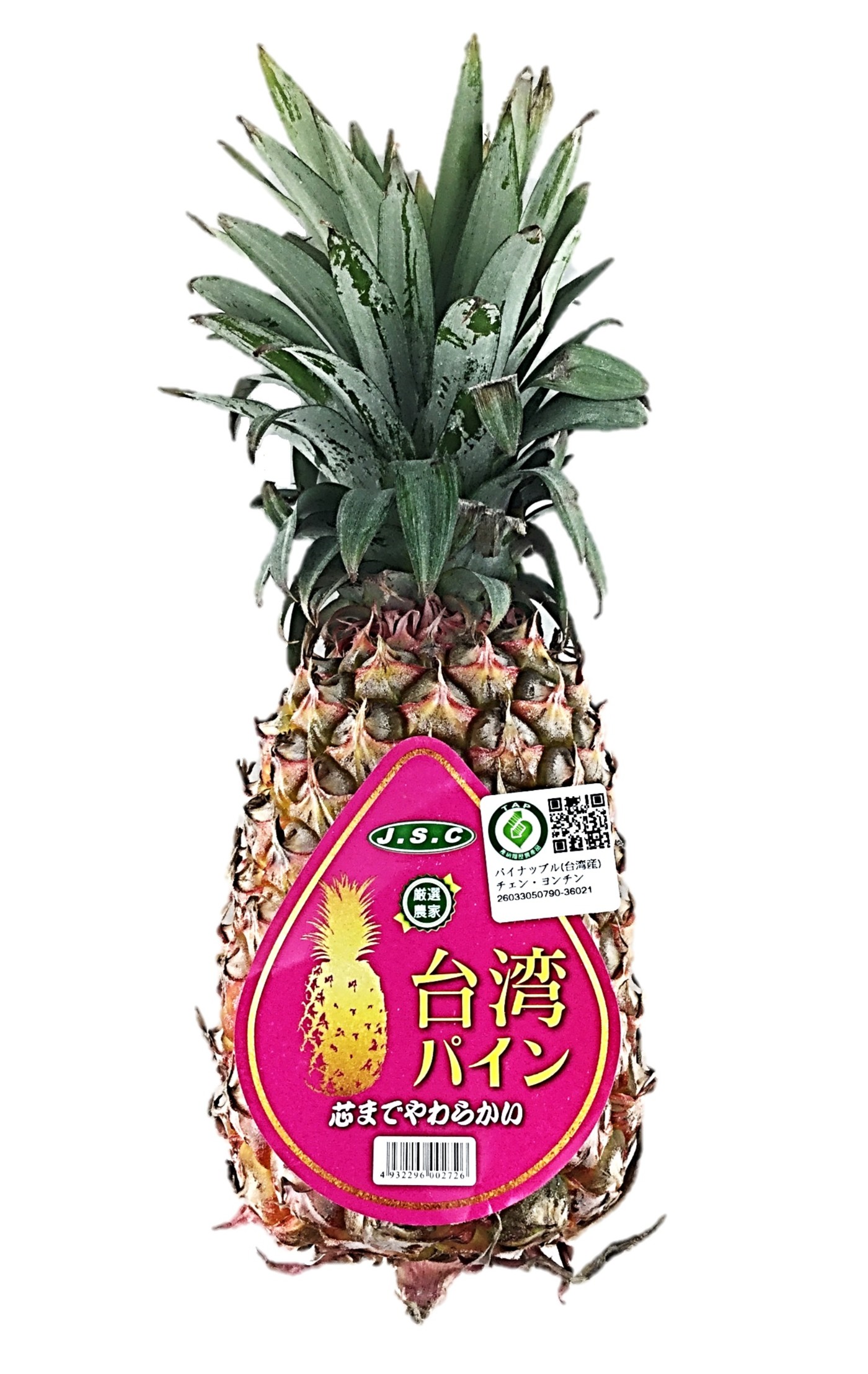台湾パイン