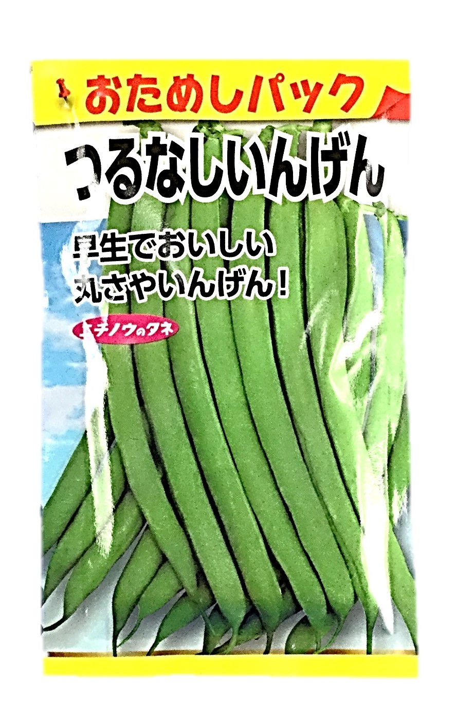 つるなしいんげん(おためし)1袋
