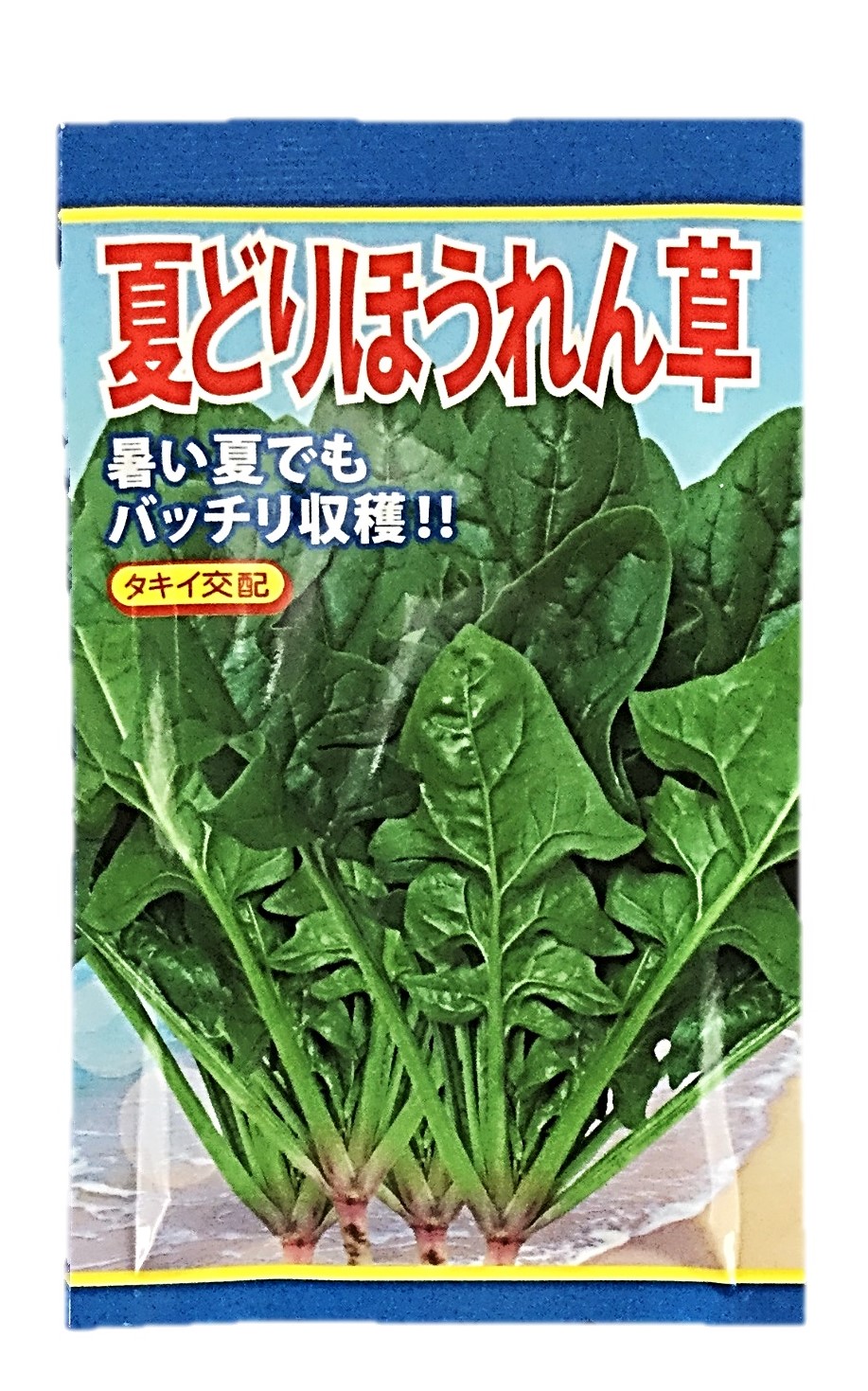 夏どりほうれん草1袋