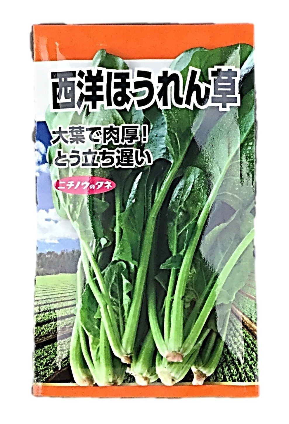 西洋ほうれん草1袋