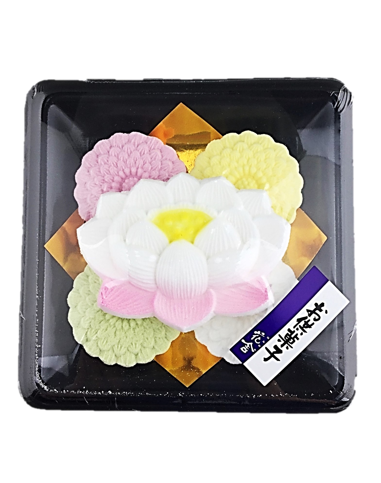 蓮千千 花舎
