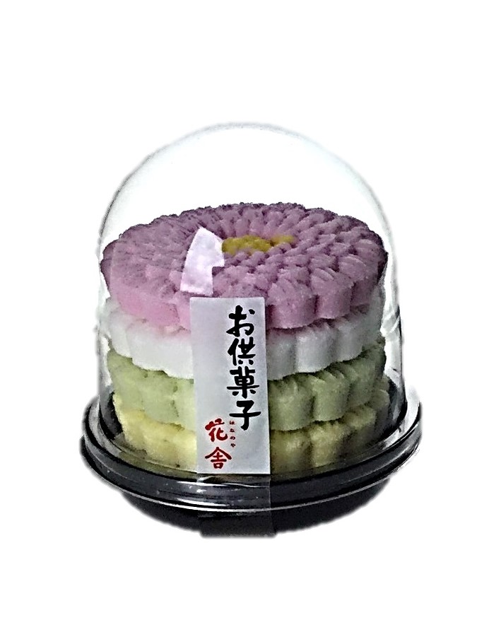 五条菊 花舎