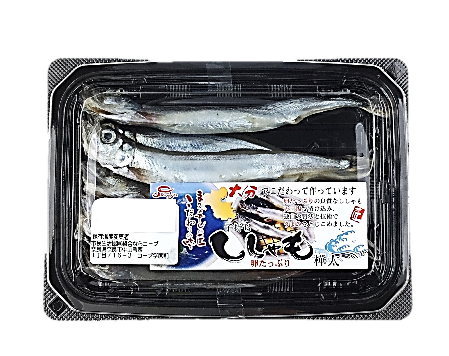 子持ちししゃも ヤマジン