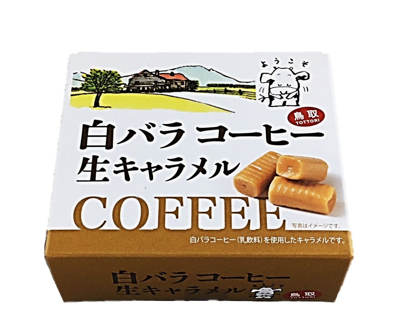 白バラコーヒー生キャラメル10個 宝製菓