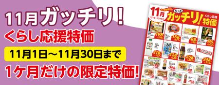 ガッチリ特価11月