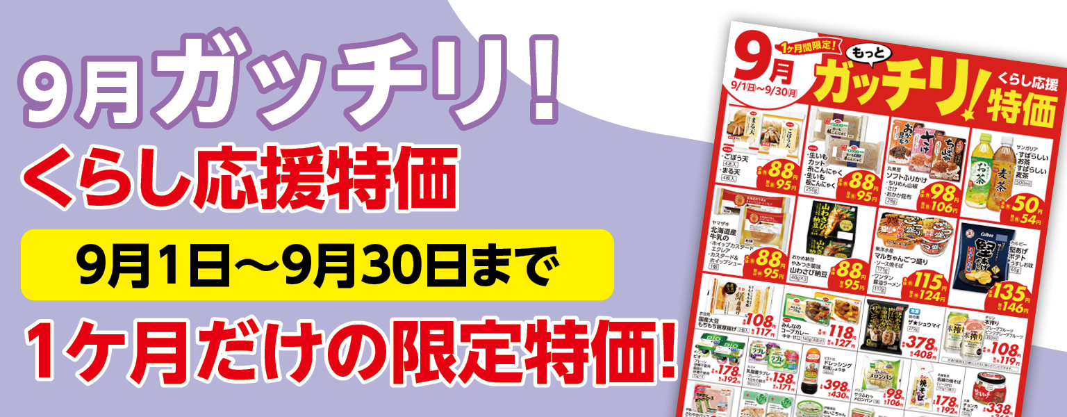 ガッチリ特価9月